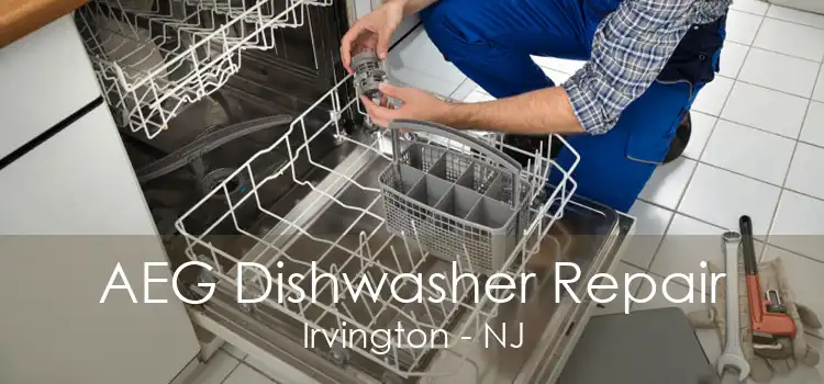 AEG Dishwasher Repair Irvington - NJ