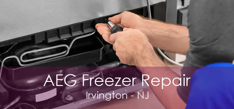 AEG Freezer Repair Irvington - NJ