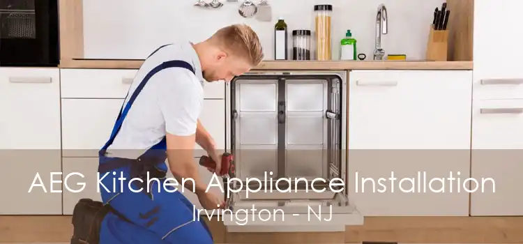 AEG Kitchen Appliance Installation Irvington - NJ