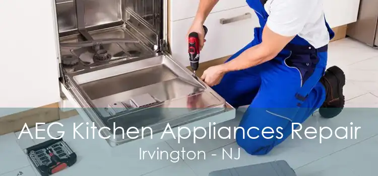 AEG Kitchen Appliances Repair Irvington - NJ