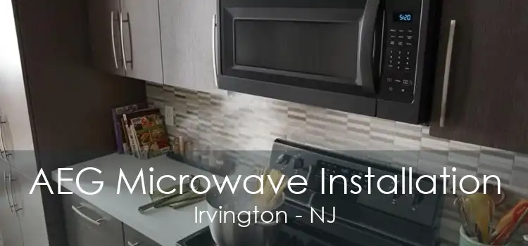 AEG Microwave Installation Irvington - NJ