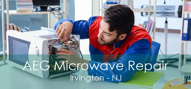 AEG Microwave Repair Irvington - NJ