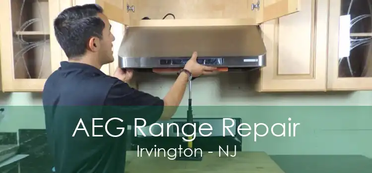 AEG Range Repair Irvington - NJ