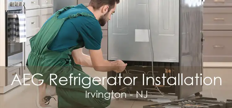 AEG Refrigerator Installation Irvington - NJ