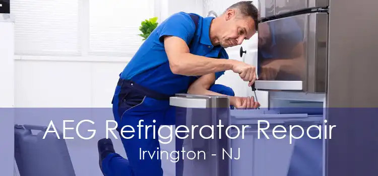 AEG Refrigerator Repair Irvington - NJ