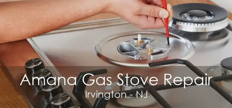 Amana Gas Stove Repair Irvington - NJ