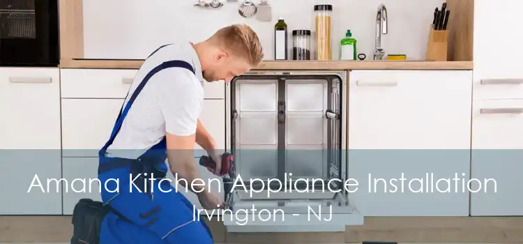 Amana Kitchen Appliance Installation Irvington - NJ