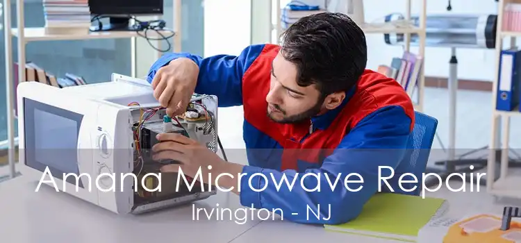 Amana Microwave Repair Irvington - NJ