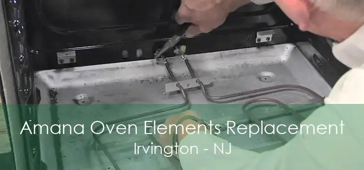 Amana Oven Elements Replacement Irvington - NJ