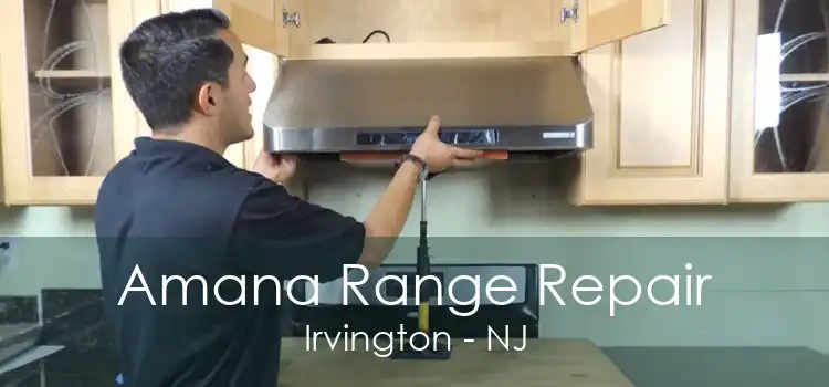 Amana Range Repair Irvington - NJ