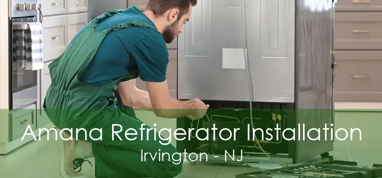 Amana Refrigerator Installation Irvington - NJ