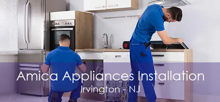 Amica Appliances Installation Irvington - NJ