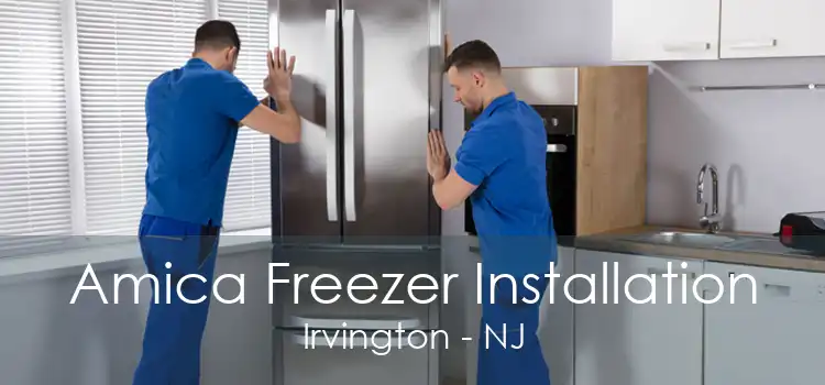 Amica Freezer Installation Irvington - NJ