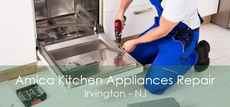 Amica Kitchen Appliances Repair Irvington - NJ