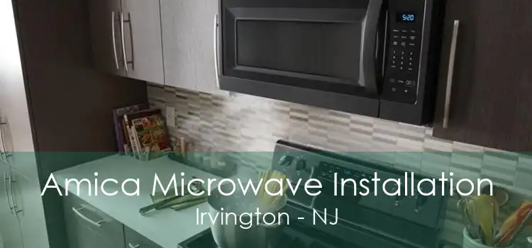 Amica Microwave Installation Irvington - NJ