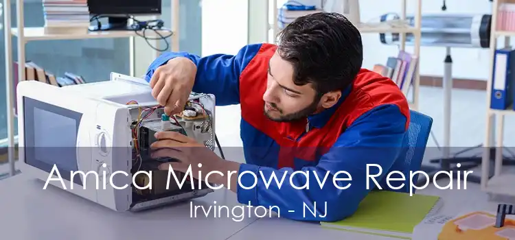 Amica Microwave Repair Irvington - NJ