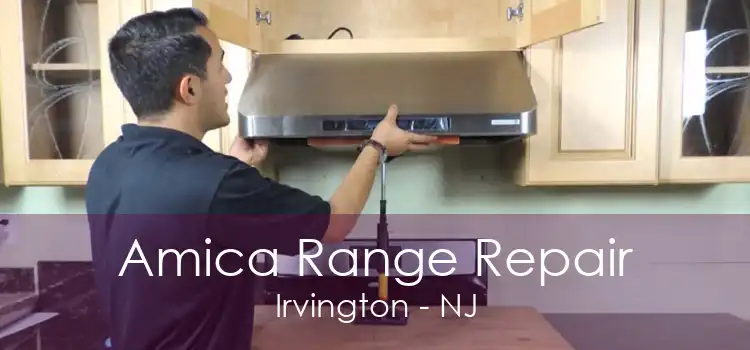 Amica Range Repair Irvington - NJ