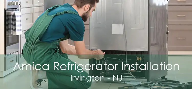 Amica Refrigerator Installation Irvington - NJ