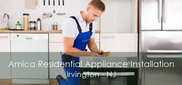 Amica Residential Appliance Installation Irvington - NJ