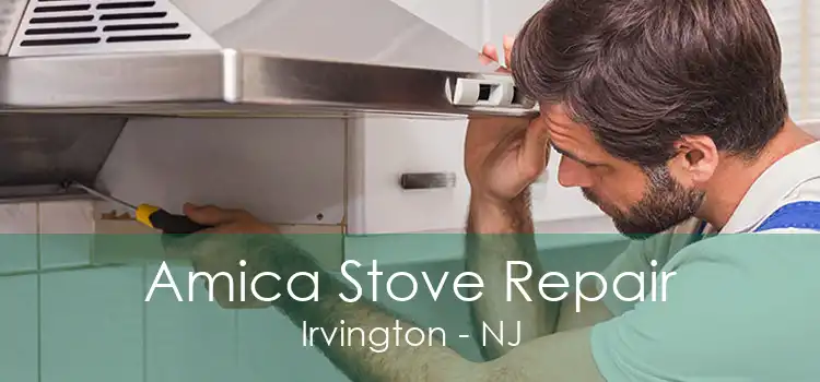 Amica Stove Repair Irvington - NJ