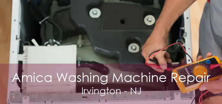 Amica Washing Machine Repair Irvington - NJ