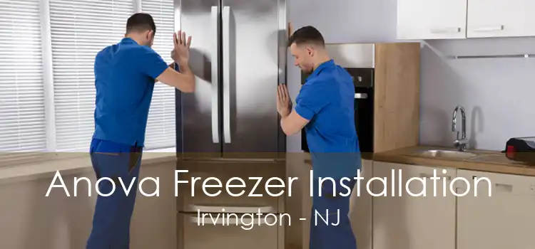 Anova Freezer Installation Irvington - NJ