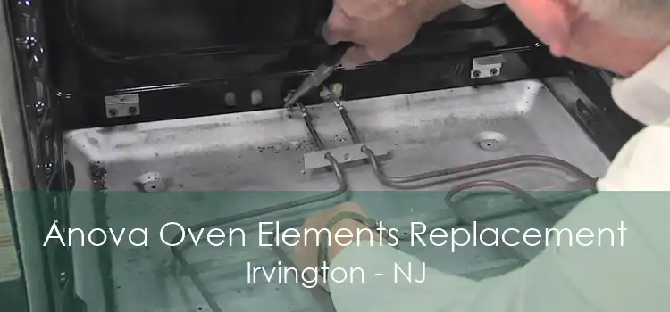 Anova Oven Elements Replacement Irvington - NJ