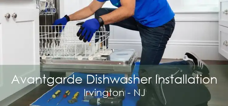 Avantgarde Dishwasher Installation Irvington - NJ