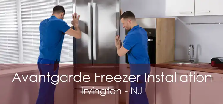 Avantgarde Freezer Installation Irvington - NJ