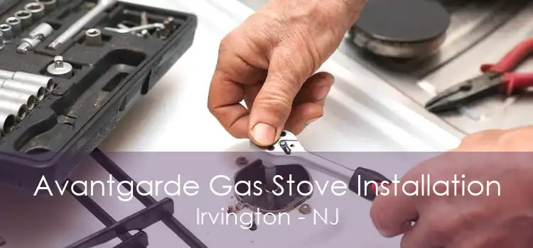 Avantgarde Gas Stove Installation Irvington - NJ