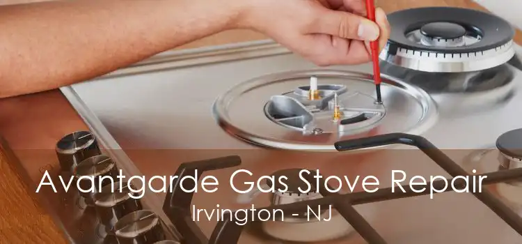 Avantgarde Gas Stove Repair Irvington - NJ