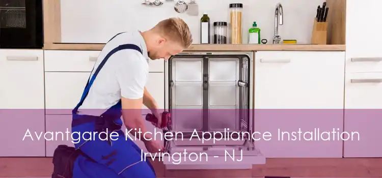 Avantgarde Kitchen Appliance Installation Irvington - NJ