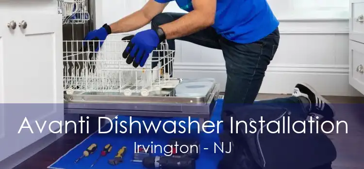 Avanti Dishwasher Installation Irvington - NJ