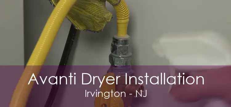 Avanti Dryer Installation Irvington - NJ