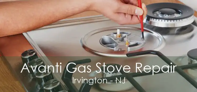 Avanti Gas Stove Repair Irvington - NJ