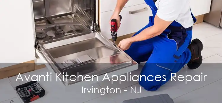 Avanti Kitchen Appliances Repair Irvington - NJ