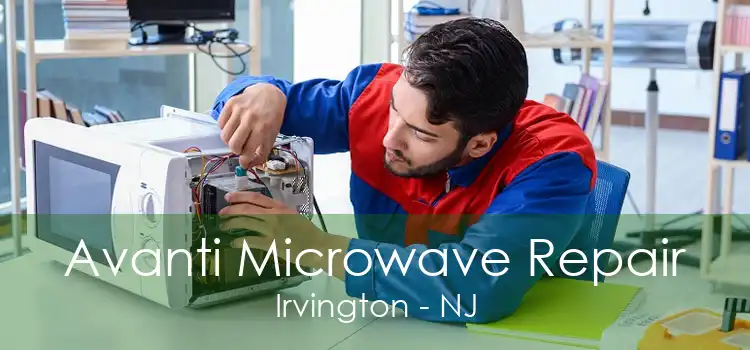 Avanti Microwave Repair Irvington - NJ