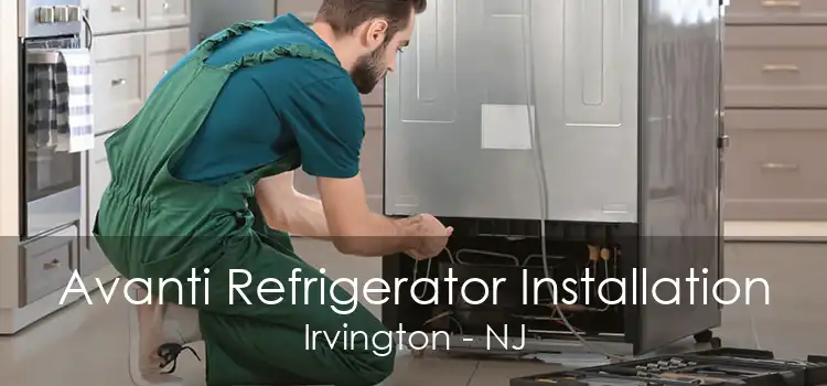 Avanti Refrigerator Installation Irvington - NJ