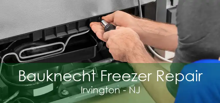 Bauknecht Freezer Repair Irvington - NJ