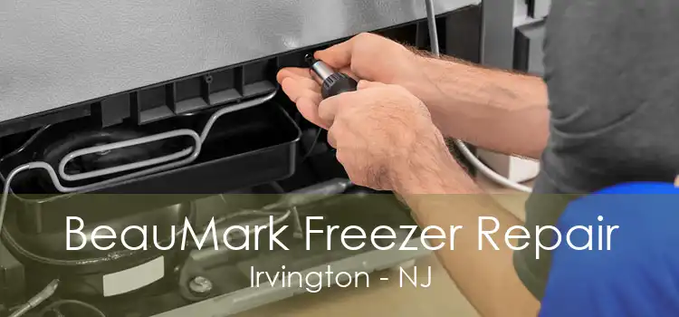 BeauMark Freezer Repair Irvington - NJ