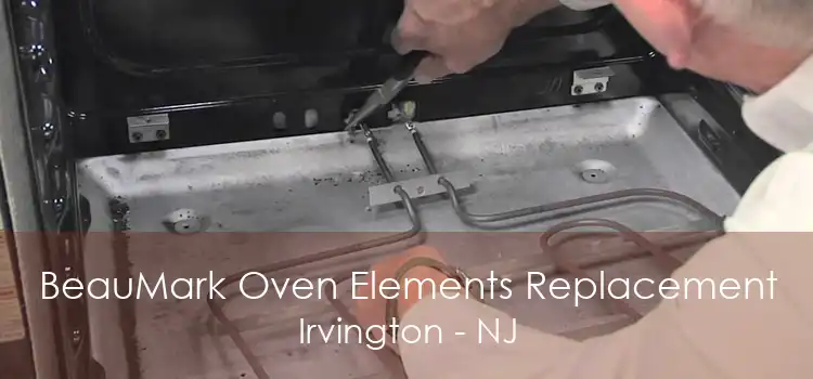 BeauMark Oven Elements Replacement Irvington - NJ