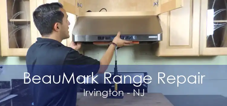 BeauMark Range Repair Irvington - NJ