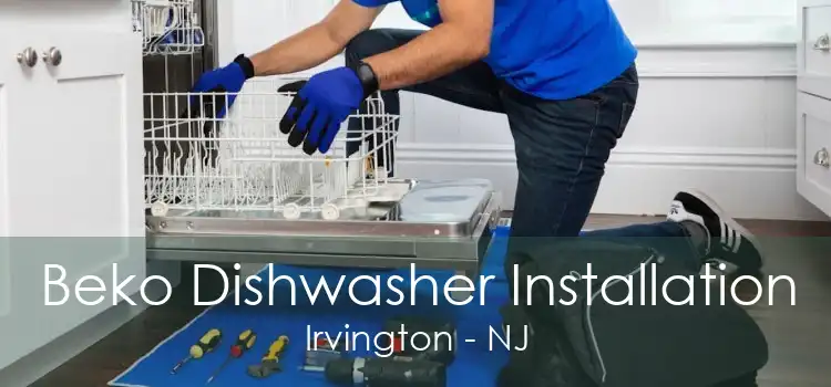 Beko Dishwasher Installation Irvington - NJ