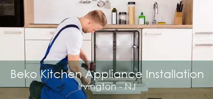 Beko Kitchen Appliance Installation Irvington - NJ