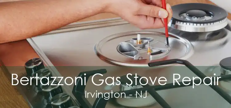 Bertazzoni Gas Stove Repair Irvington - NJ