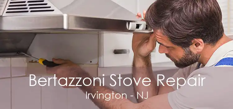 Bertazzoni Stove Repair Irvington - NJ