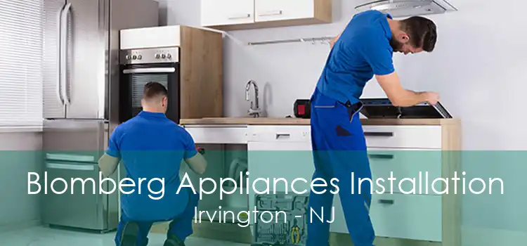 Blomberg Appliances Installation Irvington - NJ