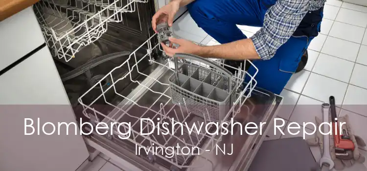 Blomberg Dishwasher Repair Irvington - NJ