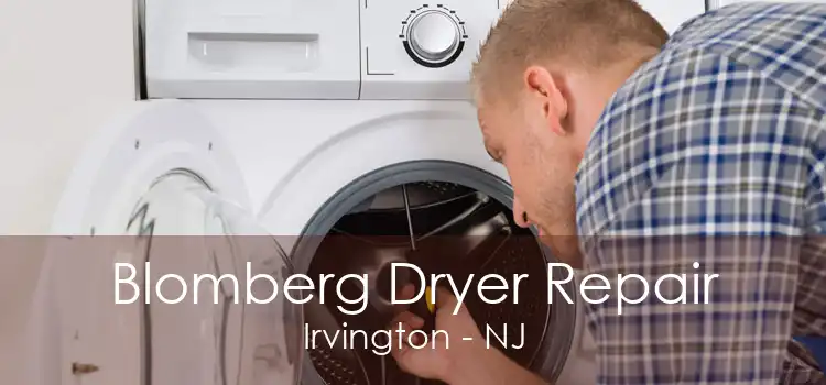 Blomberg Dryer Repair Irvington - NJ