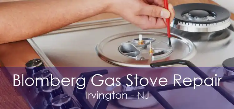 Blomberg Gas Stove Repair Irvington - NJ